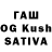 Галлюциногенные грибы Psilocybine cubensis Aninber