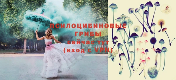 твердый Белоозёрский